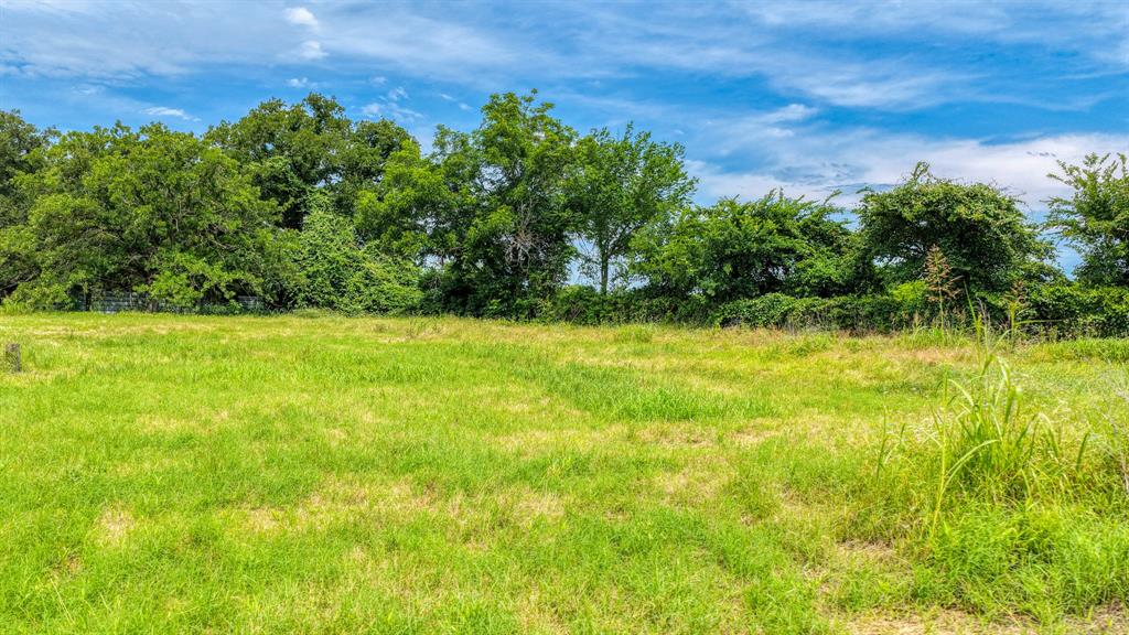 Briar Oaks Ranchett - Land