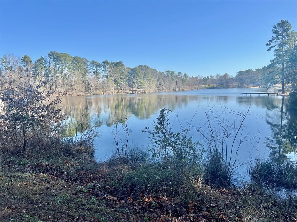 This property is owned by Luminant.  The majority of the property is floodplain, but there is some high ground up on the dam to the private lake that has a partial undivided interest with the rest of the Eastpoint neighborhood.  There is access from 3 different roadways.