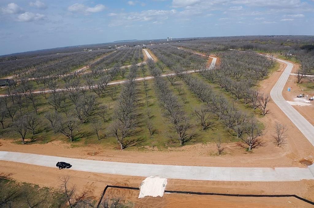 Build your dream home on this stunning pecan tree adorned majestic 1 acre corner lot in the exclusive, gated Pecan Plantation Country Club Community. Experience the perfect blend of the solitude of country living with the convenience of exceptional amenities. This premier master planned neighborhood offers breathtaking views and a lifestyle like no other. Enjoy easy access to Lake Granbury & the scenic Brazos River, where the country club overlooks the water in all its beauty. Golf enthusiasts will love the two championship 19 hole courses with a proactive range, while those seeking recreation can take advantage of swimming pools, tennis courts, pickleball courts, & a vibrant community center. The neighborhood also boasts a private marina on Lake Granbury, an equestrian center, & more. With 24 hours, 7 days a week monitored security in this gated retreat, you’ll find the perfect balance of serenity and luxury.