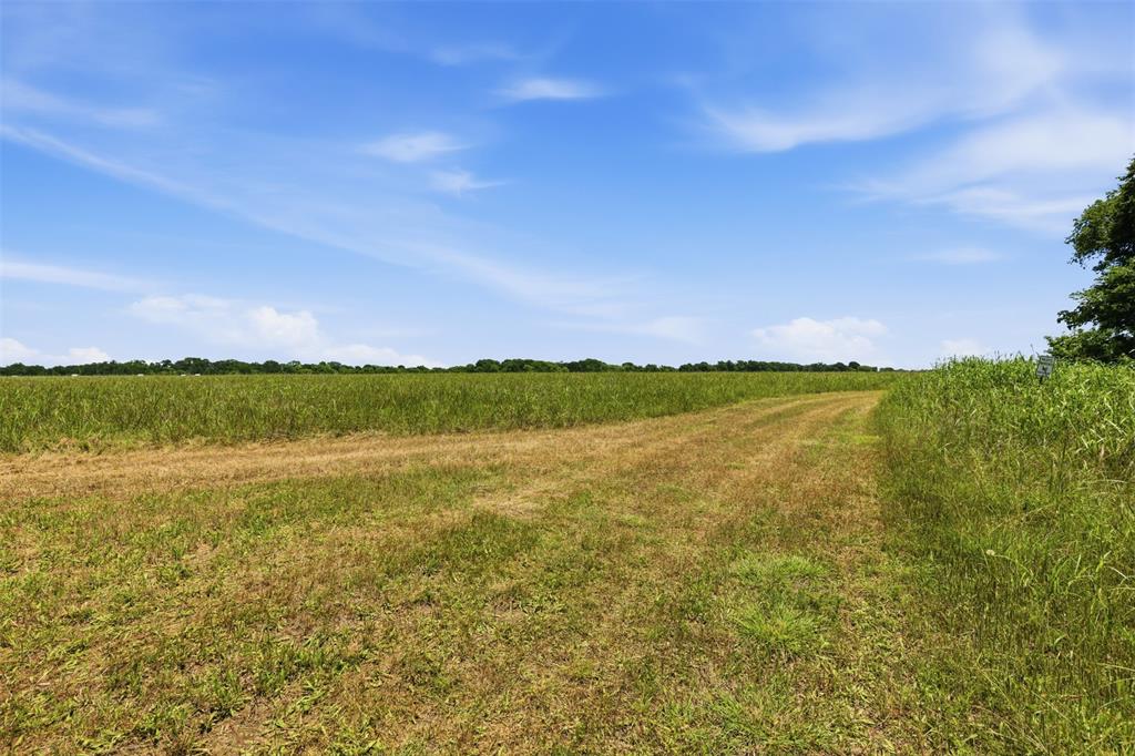 DUPUY - Land