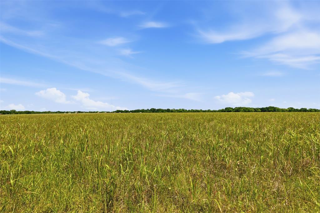 DUPUY - Land