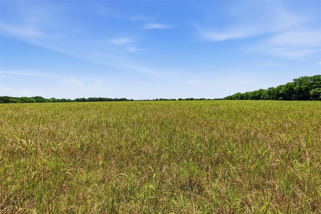DUPUY - Land