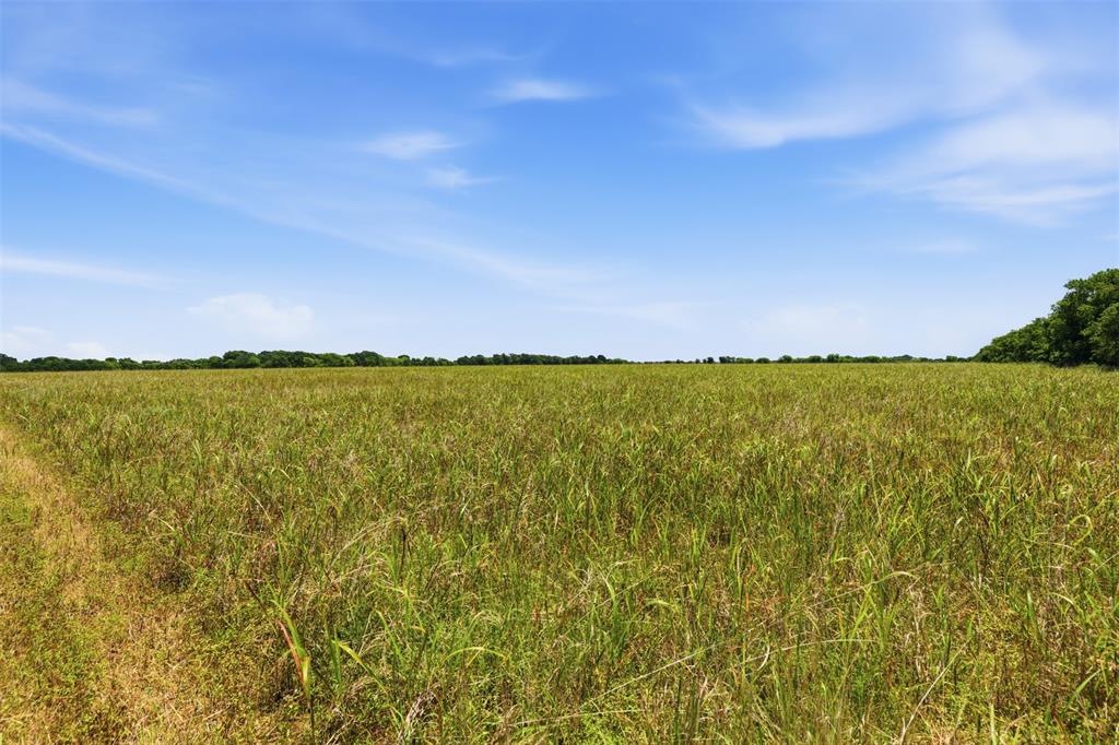 DUPUY - Land