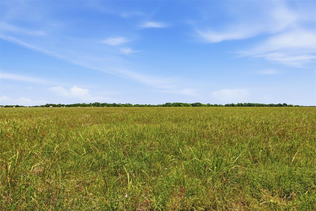 DUPUY - Land