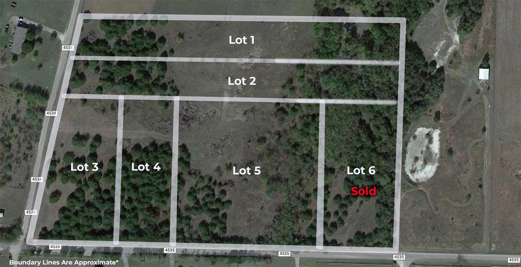 Lot 4 is 1.5 acres.. Ready to build your dream home… Benny’s Place Subdivision is the perfect place. Great location just minutes to Highway 121, but still in the quite of the country. Property is in Trenton ISD. Water line to property and water meter are included in the price. Electric is available. Property will require septic system. Single Family Subdivision with very few deed restrictions.