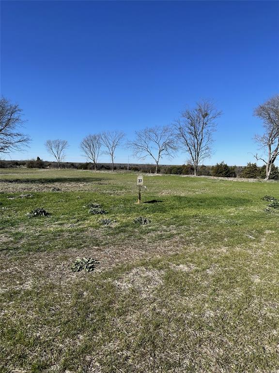Bynum Springs Club - Land