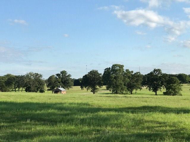 Rural - Farm