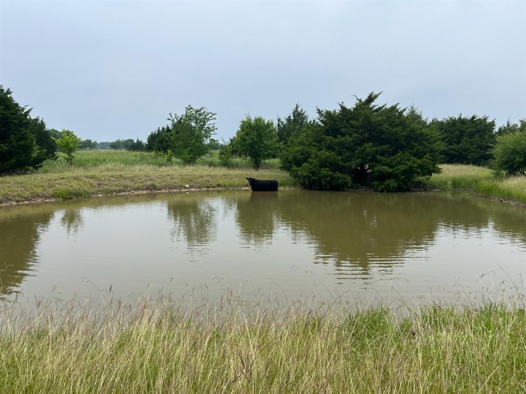 - - Land