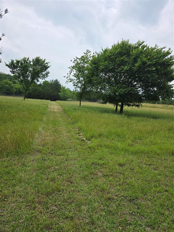 - - Land