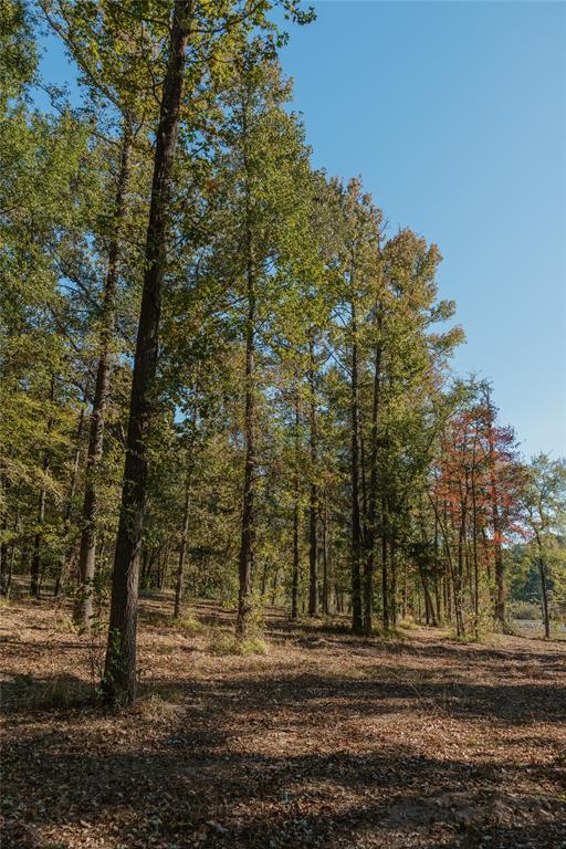 Heavenly Acres - Land