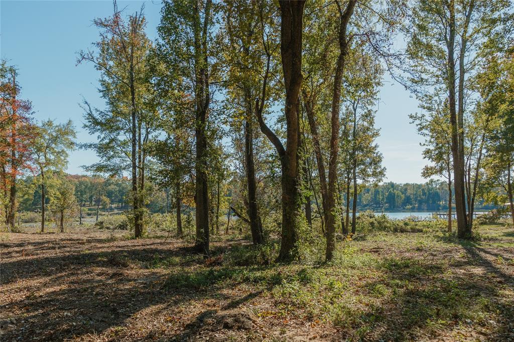 Heavenly Acres - Land