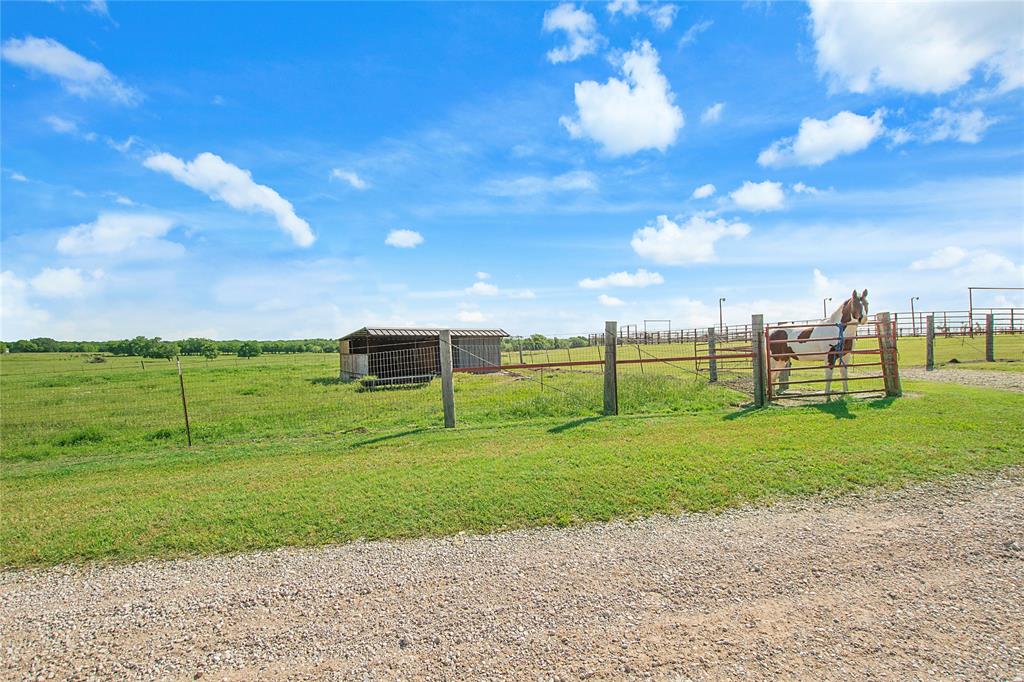 S Dorsett - Farm