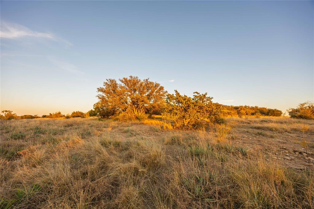Rural - Land