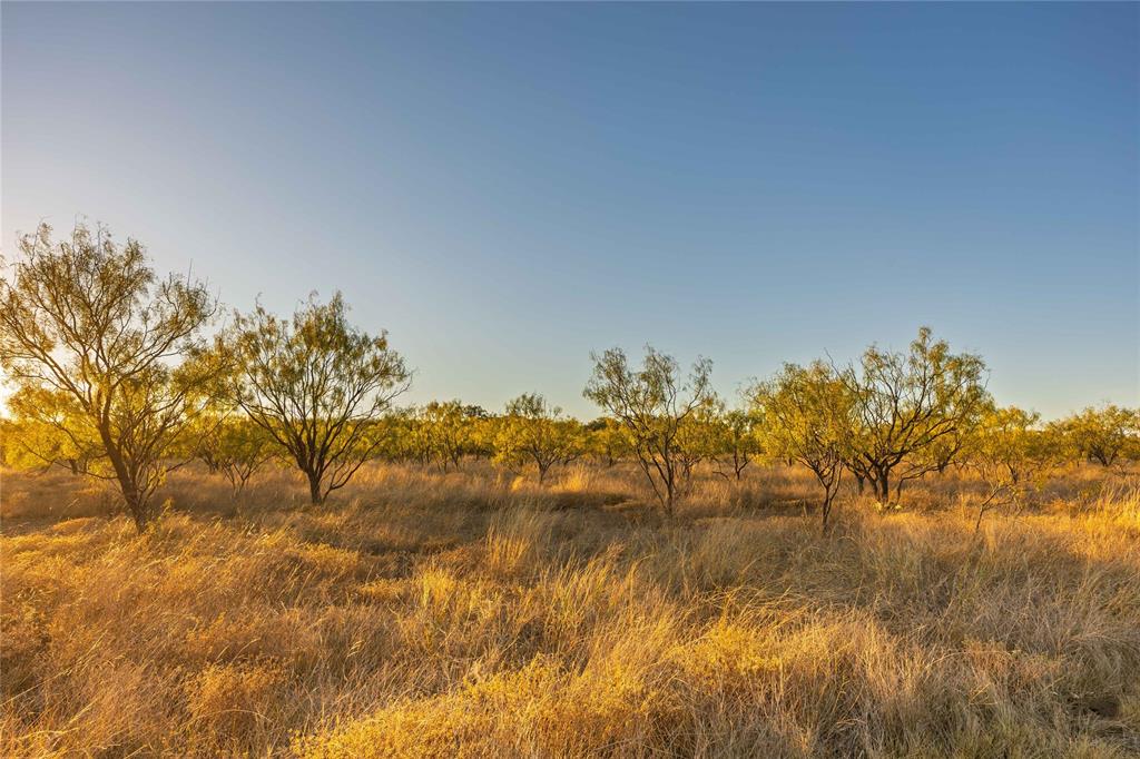 Rural - Land