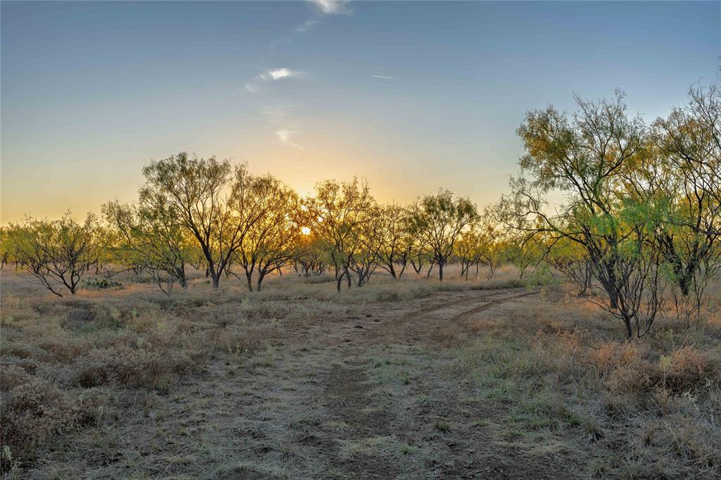 Rural - Land