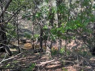Vista Ridge Ranch - Land
