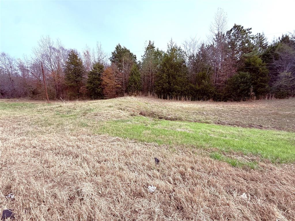 Looking for almost 7 acres just south of Winnsboro, Texas? Well, here it is! This property features access from both State Hwy 37 &County Road 4700 for more private access. Great location for just about anything. Offers the opportunity for small clearing to obtain the perfect private building location. Hard to find small acreage near town, so move fast. Just 50 miles north of Tyler and 90 miles east of Dallas, in the heart of The Piney Woods of East Texas.