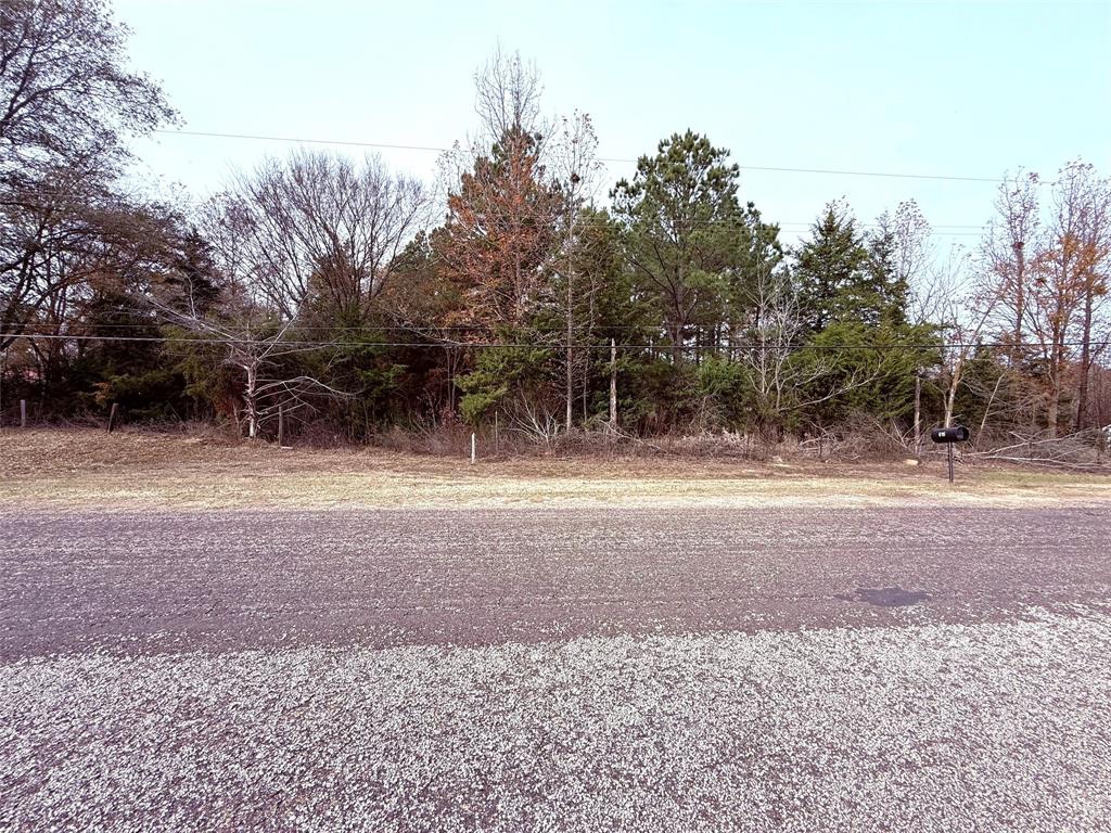 LEE B. - Land
