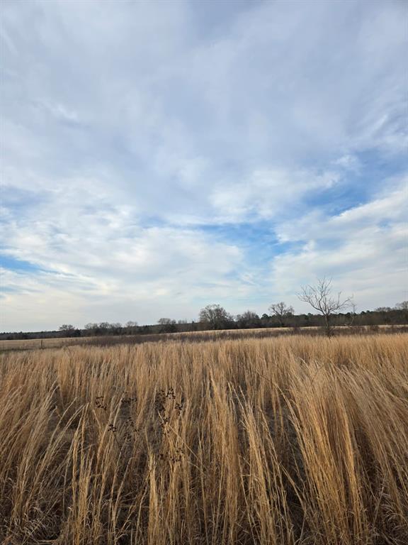 Build your dream home on this beautiful, level piece of land in Winnsboro, TX! Perfectly suited for new construction, this
property offers a smooth, build-ready landscape with utilities nearby for added convenience. Whether you’re envisioning a
cozy country retreat or a spacious custom home, this lot provides the ideal foundation. Experience country living at its finest
while still being just minutes from Lake Winnsboro. Spend your days enjoying fishing, boating, peaceful lake views, and the
relaxed lifestyle that comes with living close to the water. If you’ve been searching for the perfect place to create your own
slice of East Texas paradise, this is it. Come see this beautiful property today and start planning your future!
