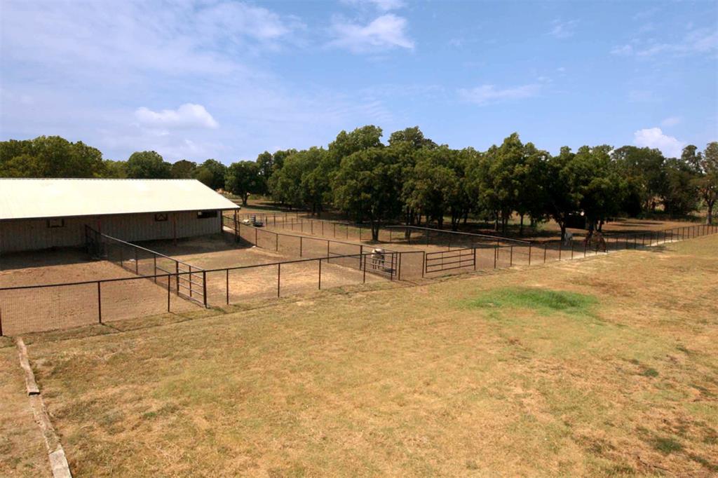 A Petty - Farm