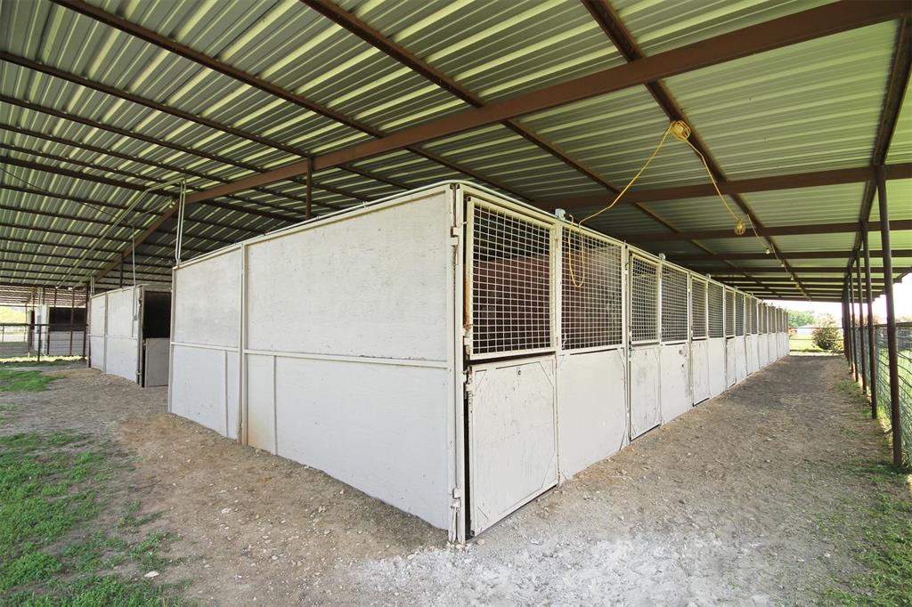 A Petty - Farm