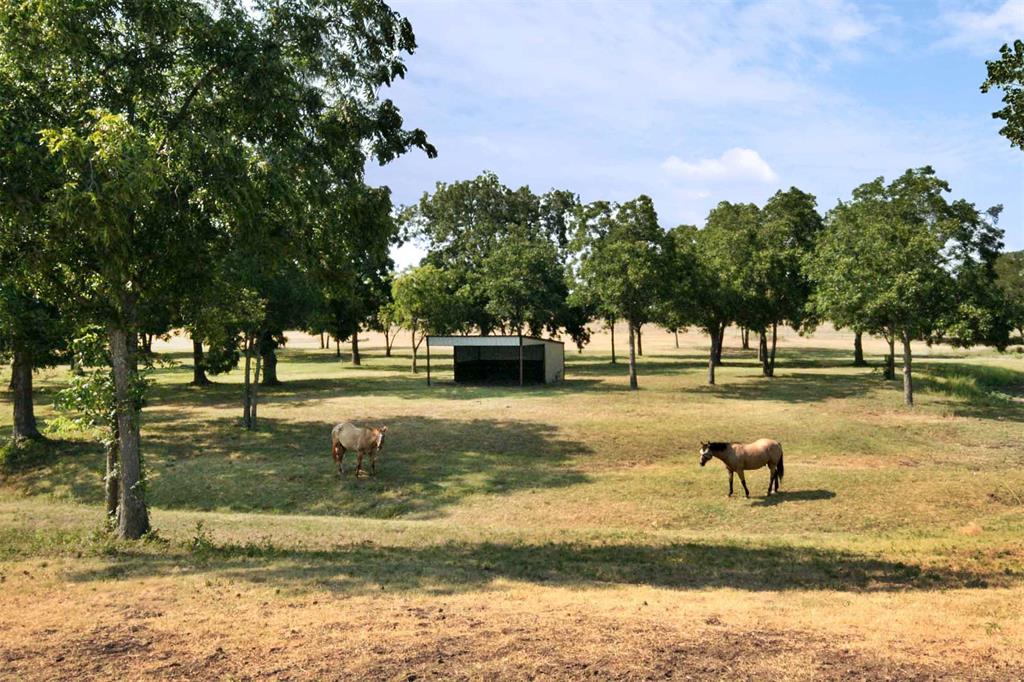 A Petty - Farm