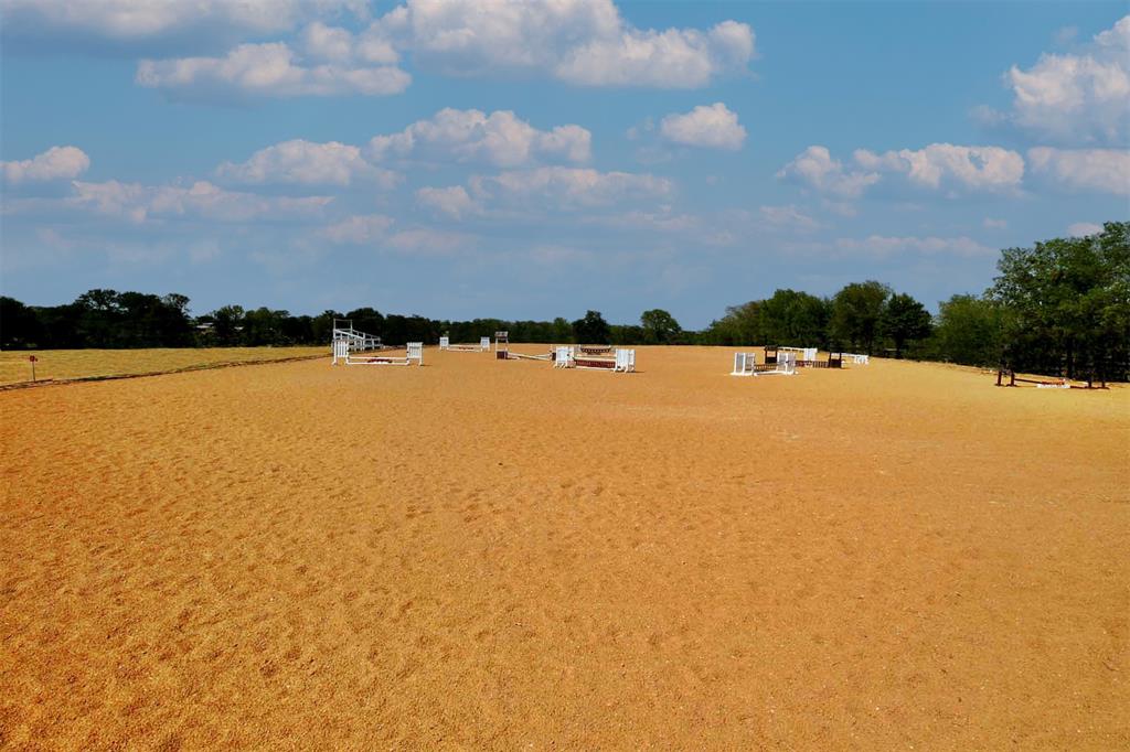 A Petty - Farm