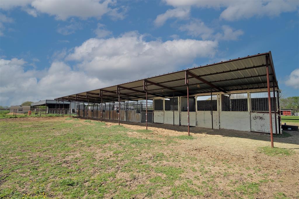 A Petty - Farm