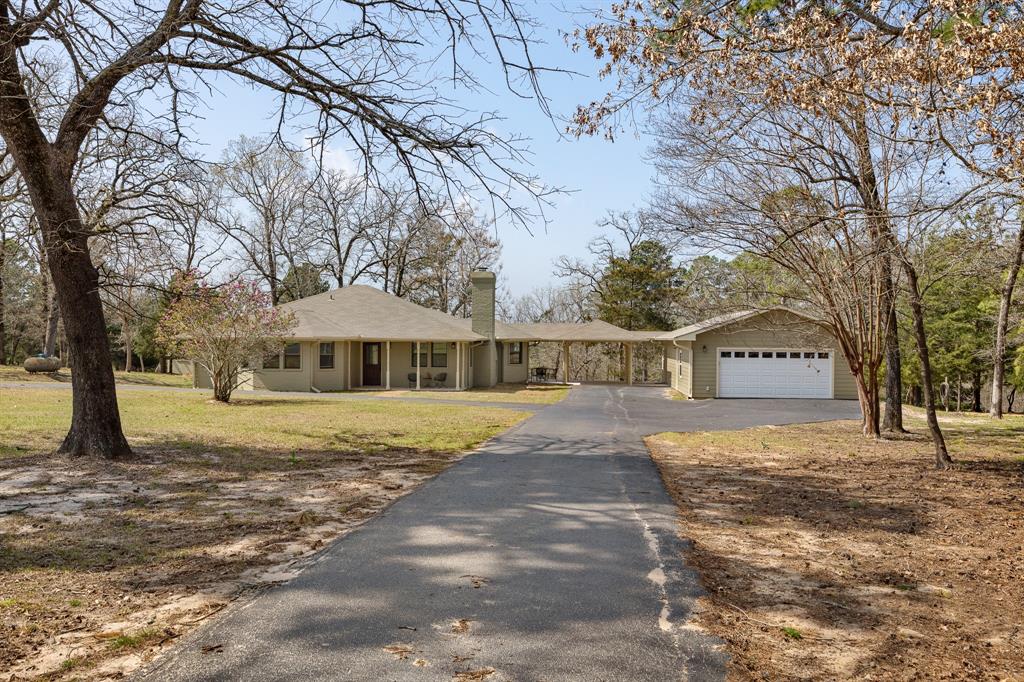 Piney Woods - Residential