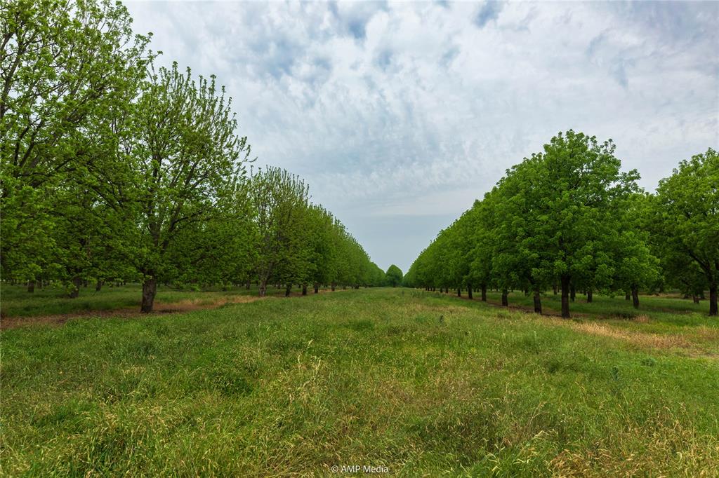 various - Land