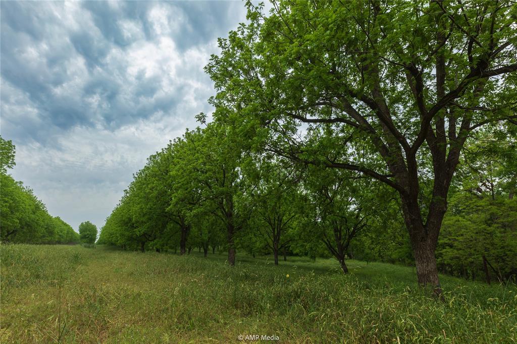 various - Land