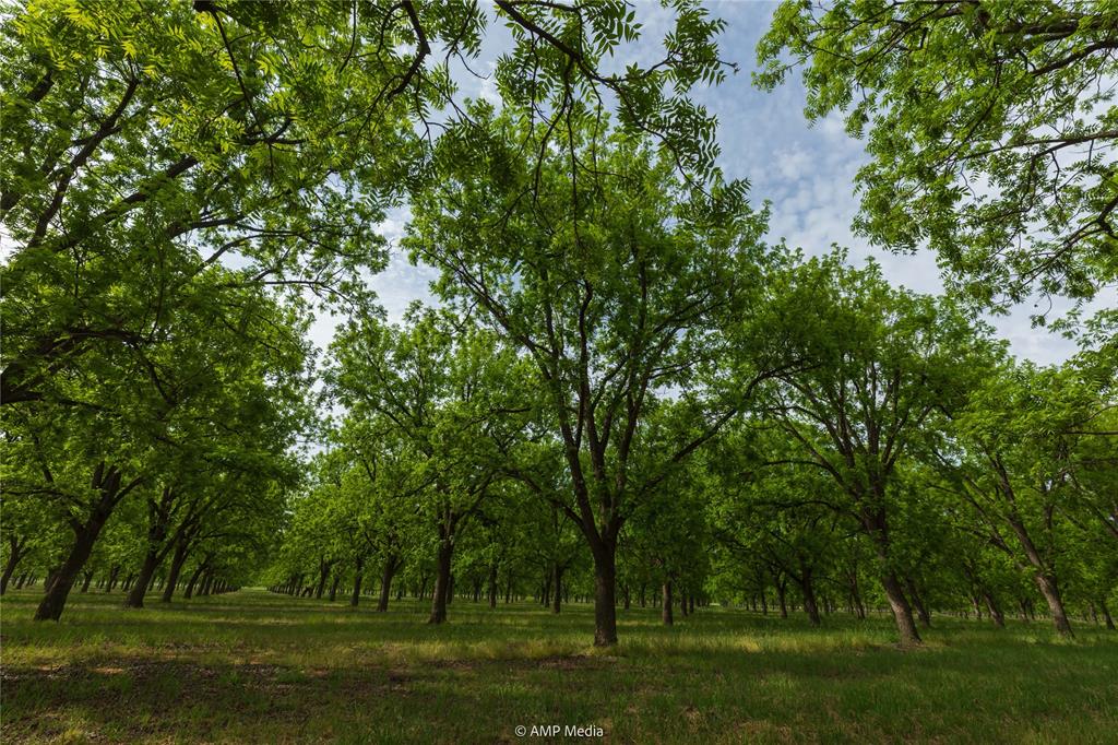 various - Land