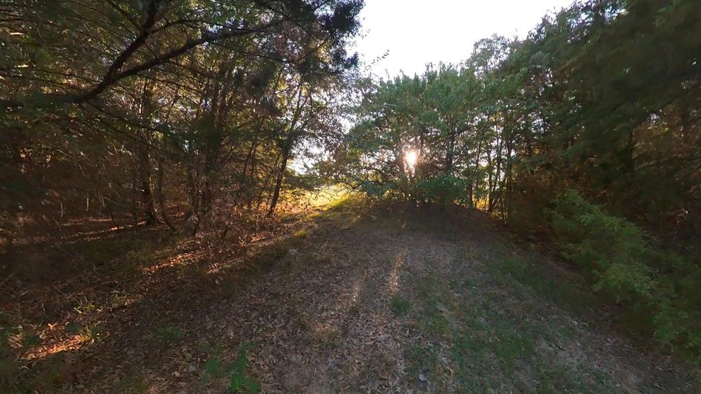 Hidden Oaks II - Land
