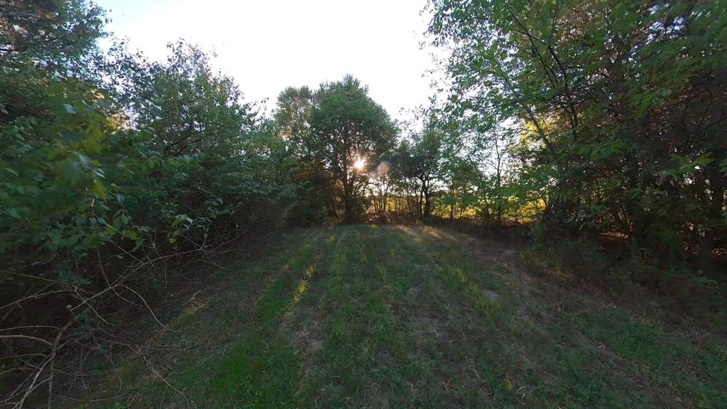 Hidden Oaks II - Land