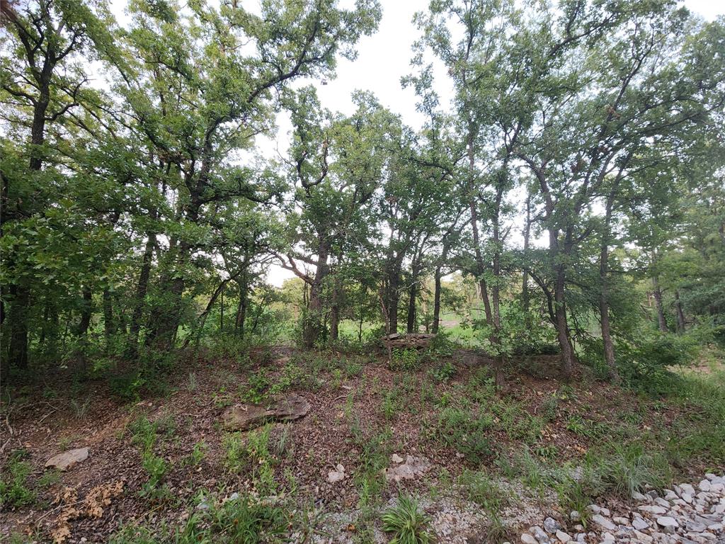 Motivated Seller! 2.01 acres with no restrictions and road frontage! This land has an abundance of trees and ready for you to build your dream home or barndominium! Conveniently located about an hour from DFW Metroplex.
