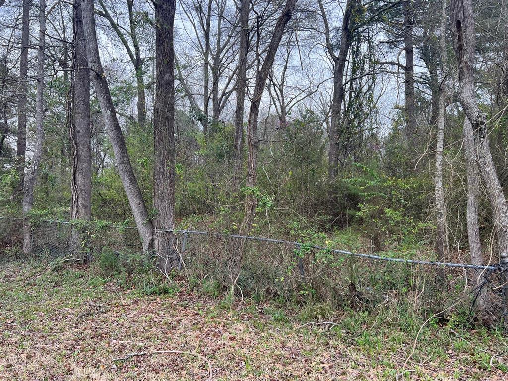 PINECROFT - Land