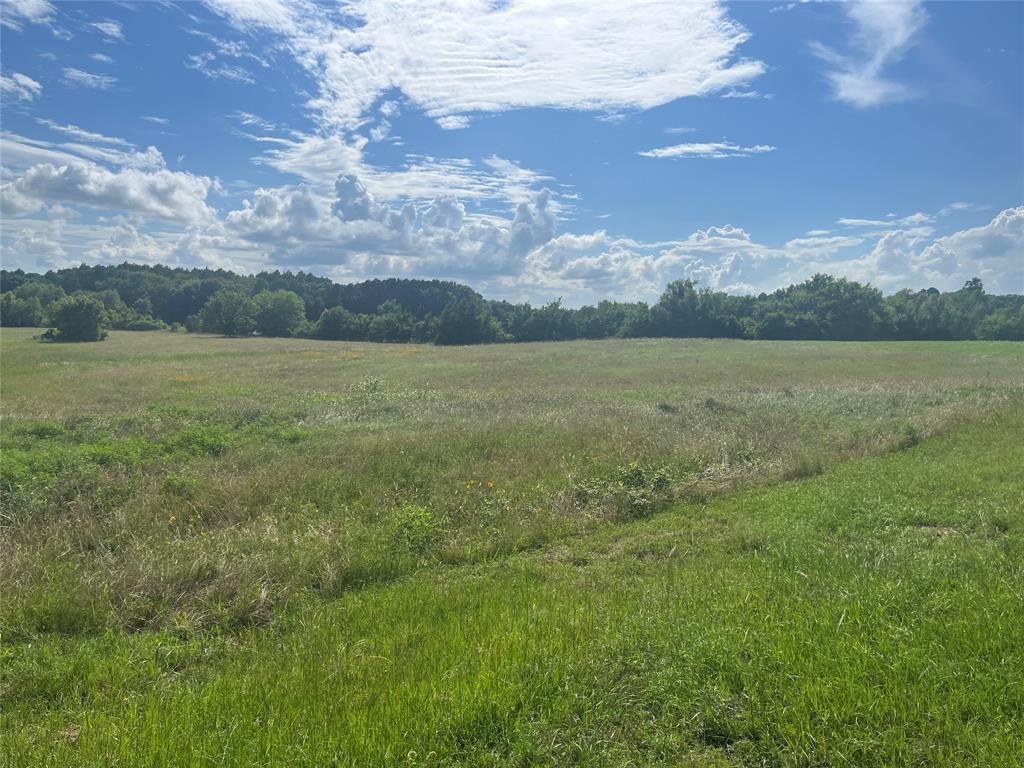 Waters Edge Ranch Ph 3 #351 - Land