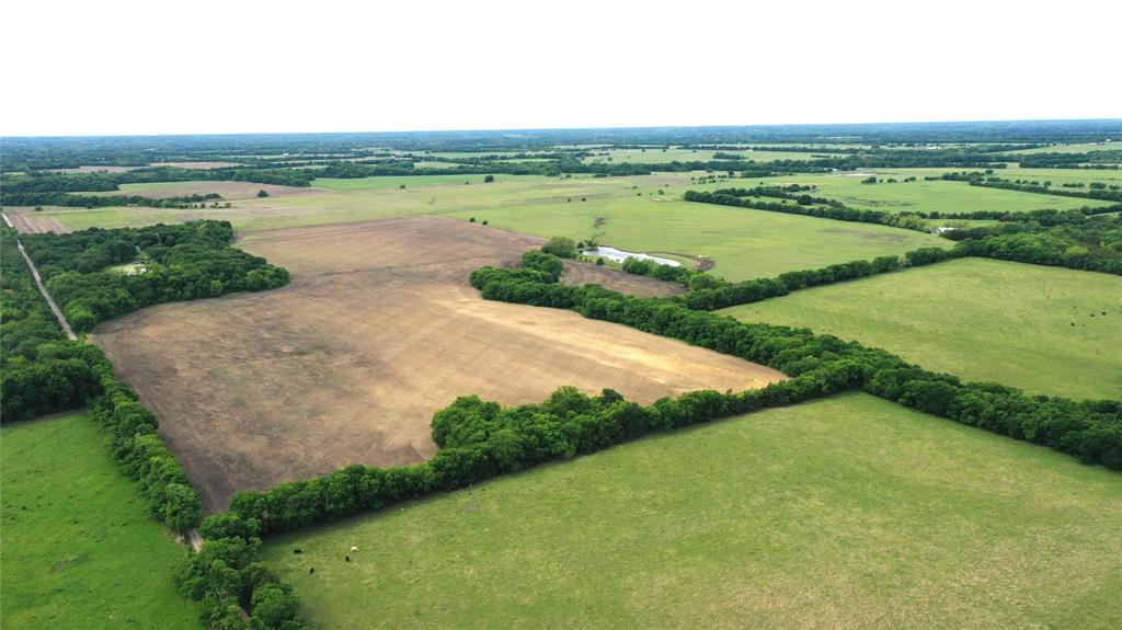 34 acres of highly productive farmland in Fannin County with a current agricultural exemption in place, keeping annual holding costs low. The property is actively used for row crop production and features gently rolling terrain, offering excellent usability and natural drainage across the tract.

With over 1,200 feet of frontage on County Road 4142, a well-maintained rock road, the property provides strong access and flexibility. The tract is less than 1.5 miles from Highway 121, combining convenient connectivity with a quiet rural setting in a proven agricultural area of Fannin County.

According to available mapping, the property is free of FEMA-designated floodplain, transmission lines, and pipelines, adding to its clean and straightforward appeal for operators and investors alike.

Additional acreage of up to 30± acres is available, allowing buyers the opportunity to expand their operation or increase their investment footprint. With clean boundaries, productive soils, strong road frontage, and an ag exemption already in place, this tract represents a high-quality, no-nonsense land investment with long-term upside.