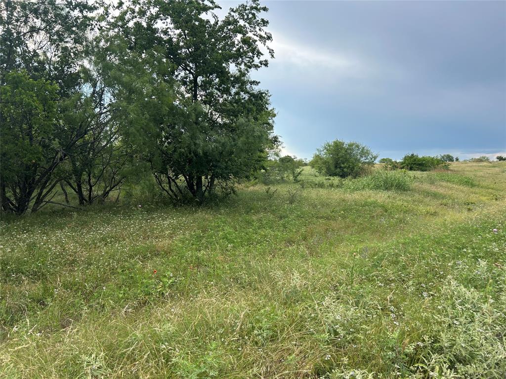 Bear Creek Estates - Land