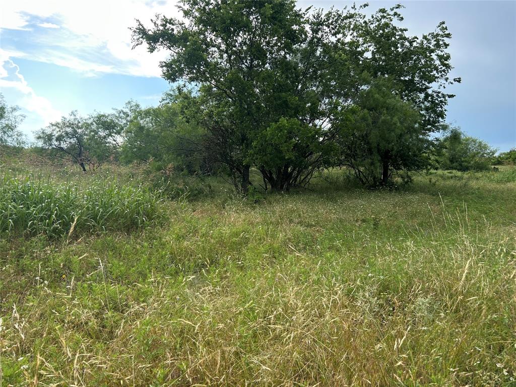 Bear Creek Estates - Land