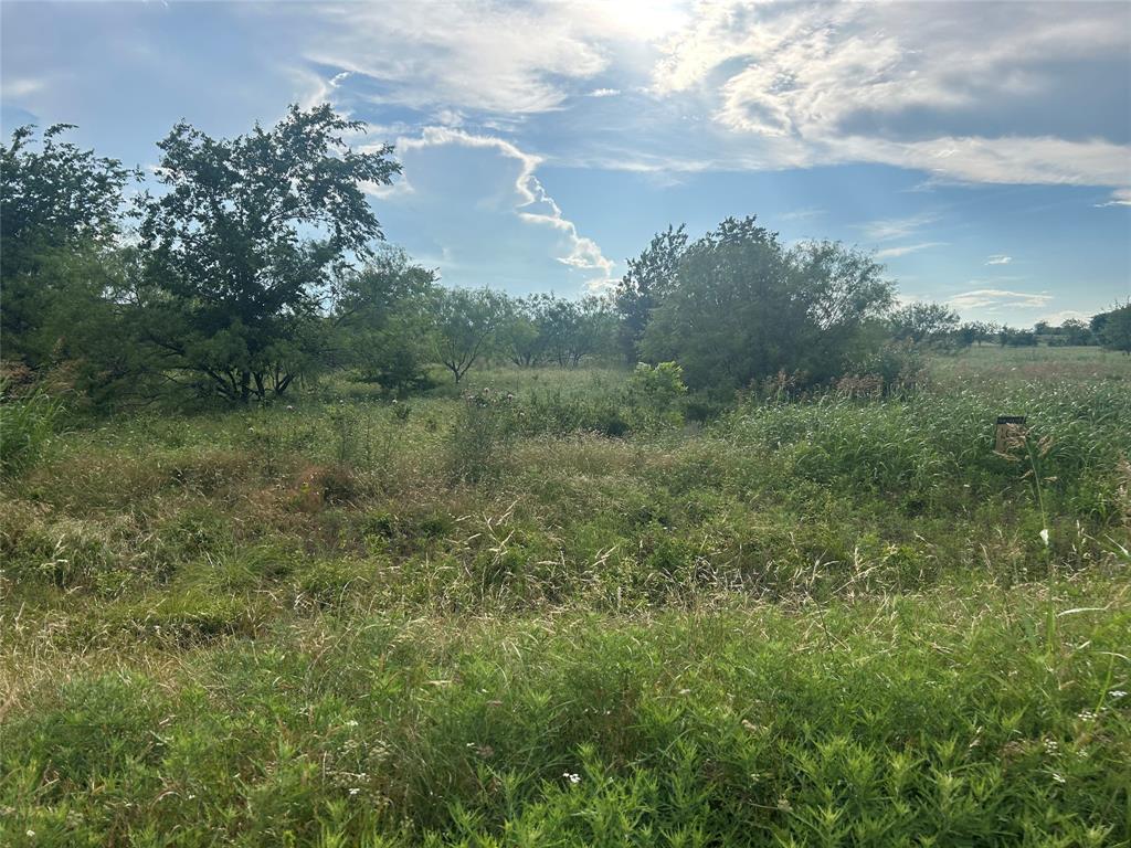 Bear Creek Estates - Land