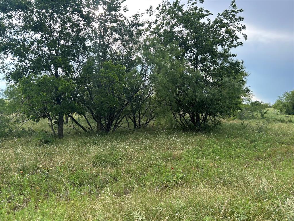 Bear Creek Estates - Land