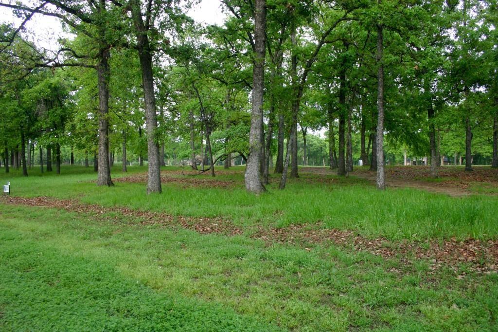 Pinnacle Club - Land