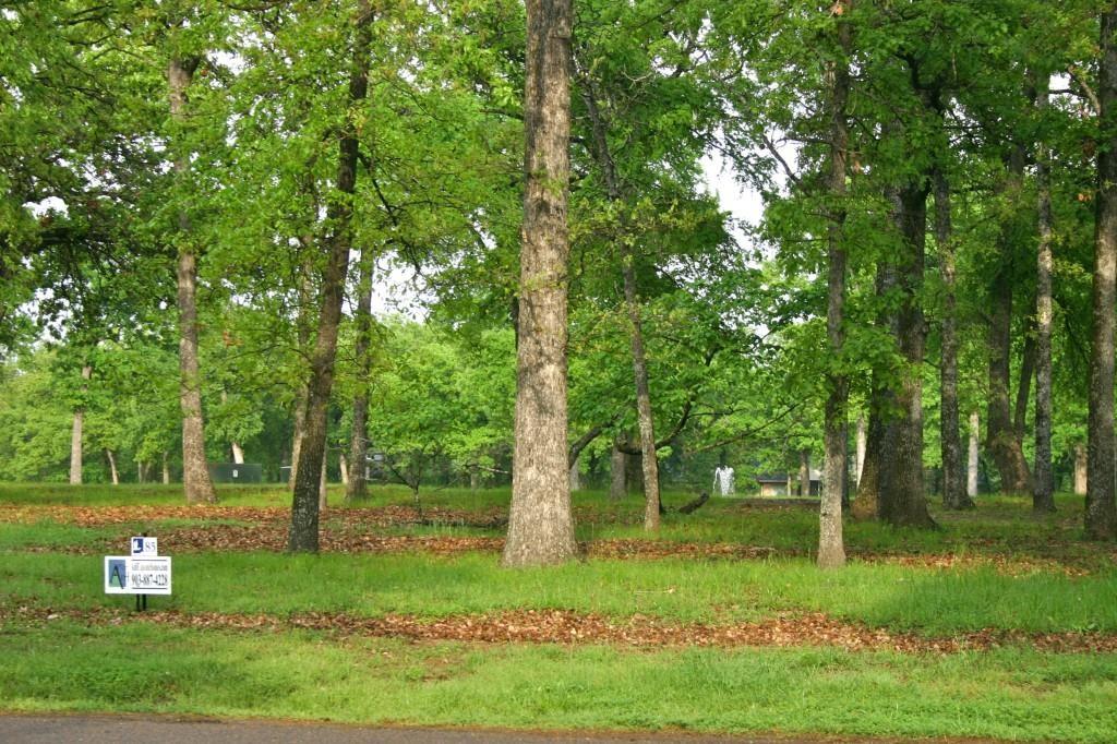 Pinnacle Club - Land
