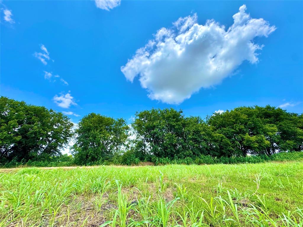 Rolling Ridge - Land