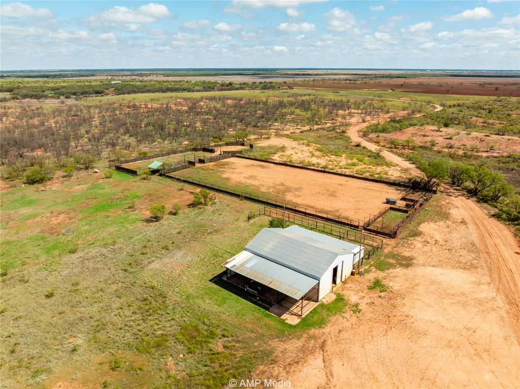 Longoria - Farm