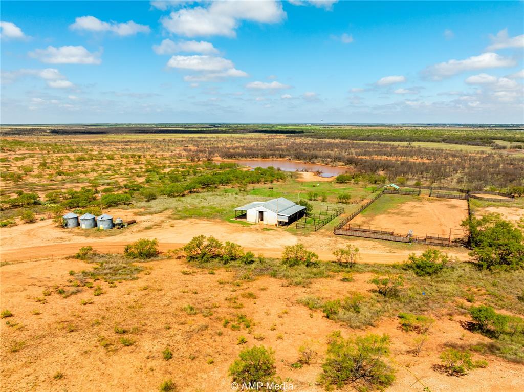 Longoria - Farm