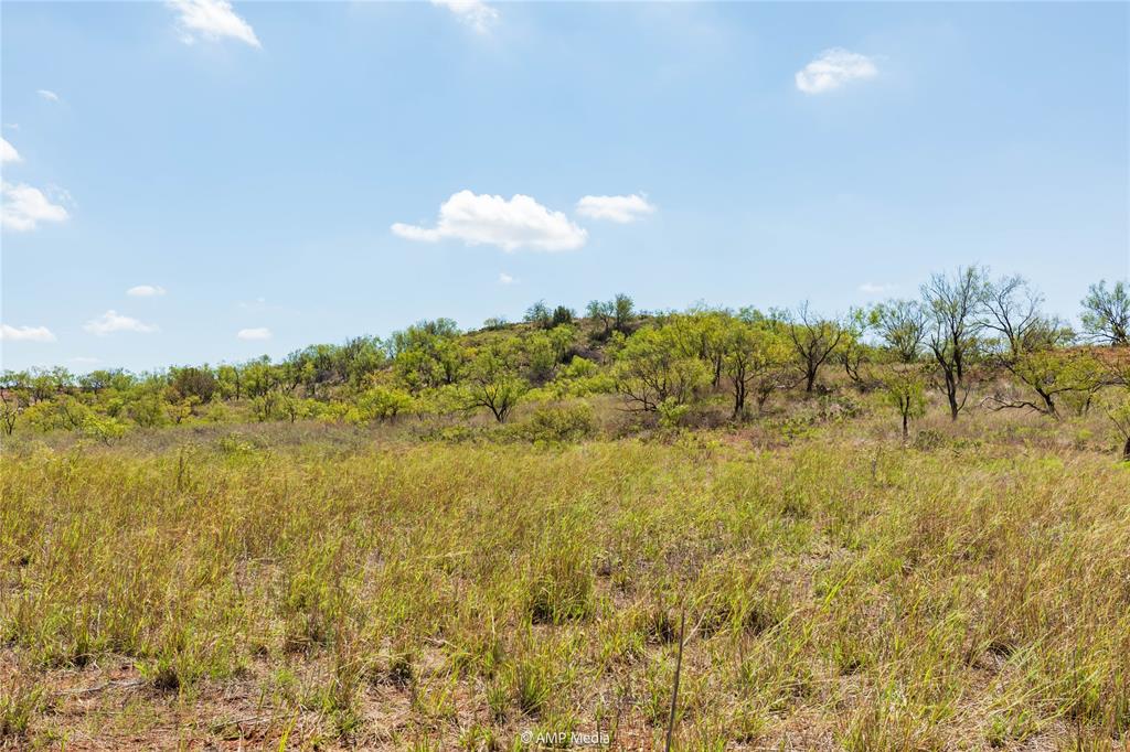 Longoria - Farm