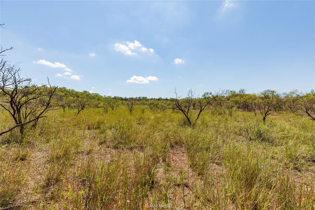 Longoria - Farm