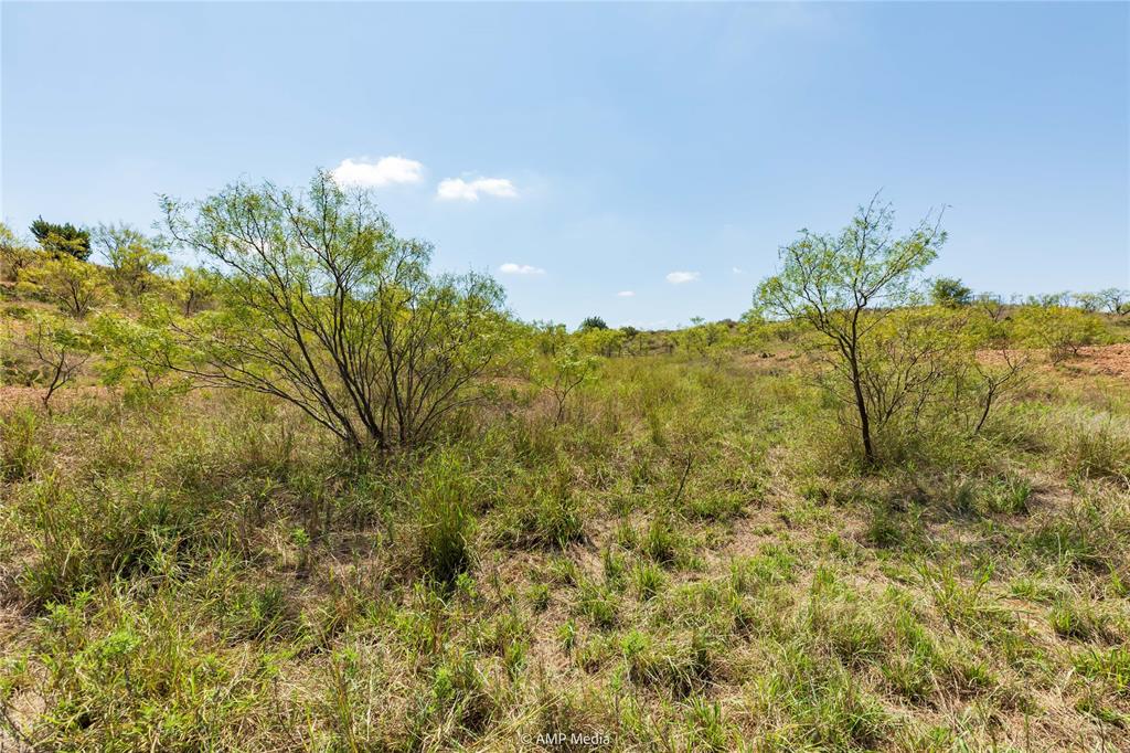 Longoria - Farm